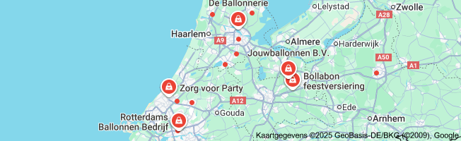 feest ballonnen bestellen