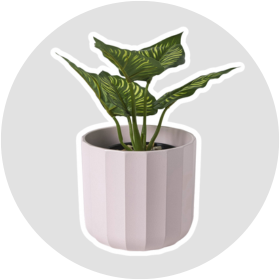 goedkope decoratie online