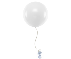 reuze ballon kopen